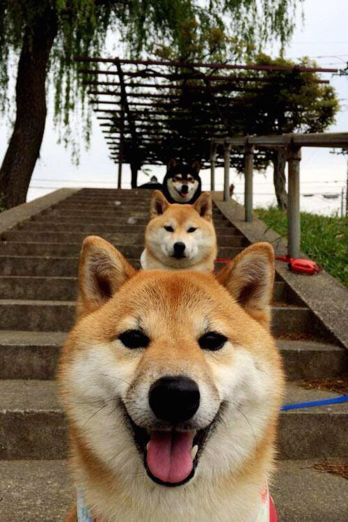 马赛激战尤文，罗德里进攻端如入无人之境，神勇表现改写比赛格局！