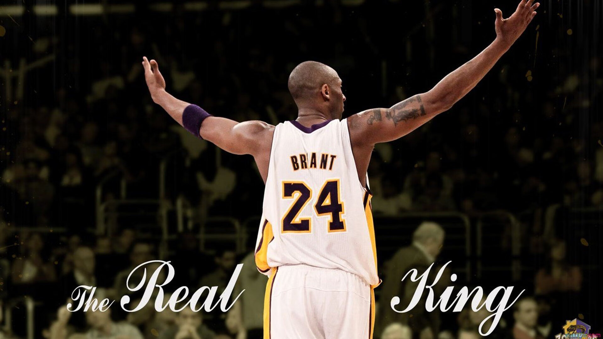 新王当立!布克太阳灼伤马刺青春,三球欧冠决赛秀出未来统治力